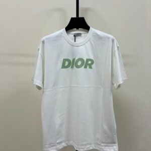 DIOR 1 1