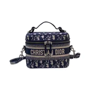 Christian Dior Vanity Case Bag