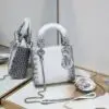 DIOR 17CM