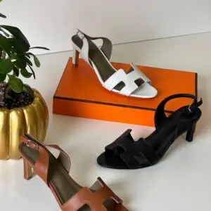 HERMES