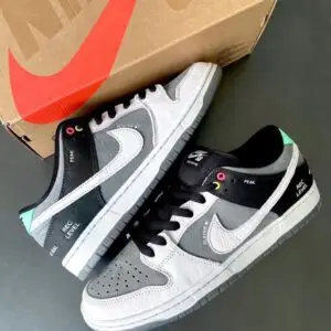 NIKE SB DUNK LOW “CAMCORDER”