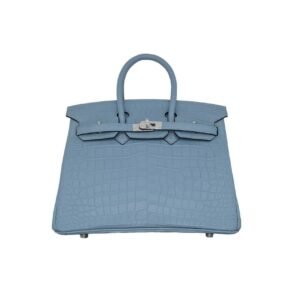 Birkin bag 25 AAA+ - Dubai Fashion LUX