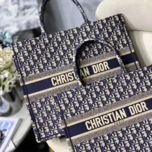 DIOR BOOK TOTE BAG