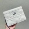 CARO ZIPPED POUCH - Dubai Fashion LUX
