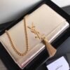 Saint Laurent Chain Wallet Bag
