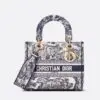 Design MEDIUM LADY D-LITE BAG Blue Toile de Jouy Embroidery - Dubai Fashion LUX