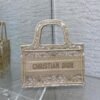 Dior Mini Book Tote Bag