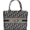 DIOR Small Book Tote Shopping Bag