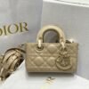 LADY D-JOY BAG - Dubai Fashion LUX