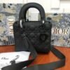 LADY MINI BAG - Dubai Fashion LUX